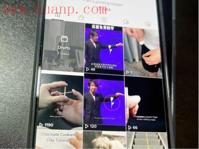 tiktok千粉号购买网站, tiktok我月赚3000美金，老韭菜带你避坑！