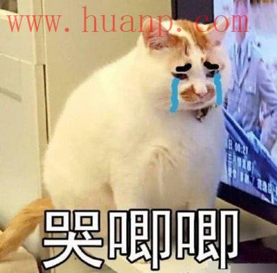 tiktok千粉号购买网站, 海外抖音安装注册好需要怎么做能赚钱？tiktok赚钱合法吗