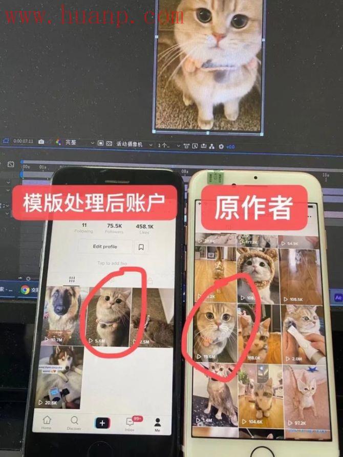 tiktok千粉号购买网站, 为毛我的TikTok作品爆不了？粉丝一直不涨呢？