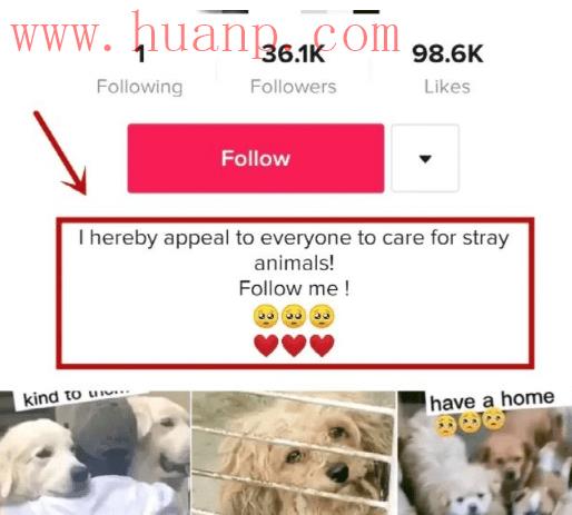 tiktok千粉号购买网站, tiktok无法上传头像，Tiktok上传头像显示无效参数