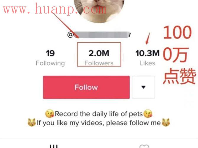 tiktok千粉号购买网站, 新手小白2023做国外tiktok短视频一周赚3k元！