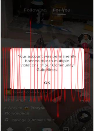 tiktok千粉号购买网站, TikTok上做视频搬运会导致限流吗？