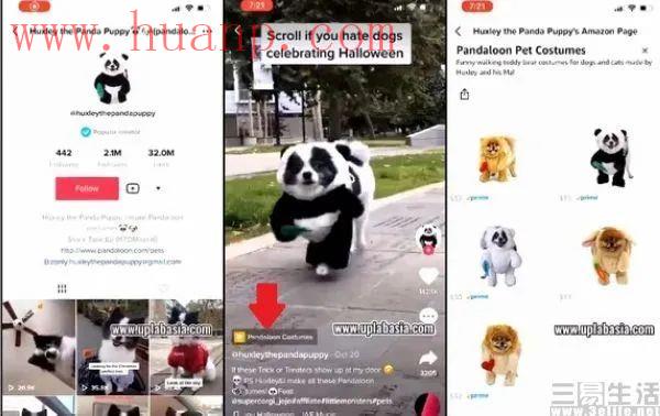 tiktok千粉号购买网站, TikTok向用户公开算法，透明也是一种力量