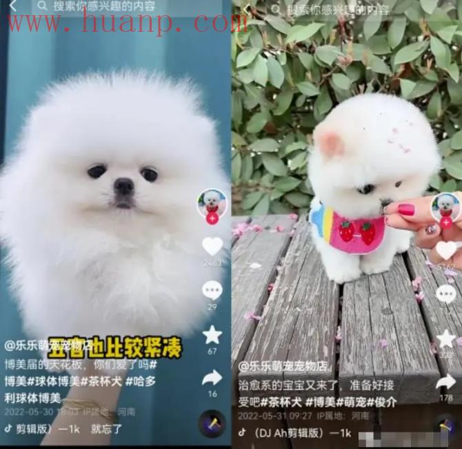 tiktok千粉号购买网站, 网上教别人做海外抖音版赚钱，海外抖音玩的教程注意