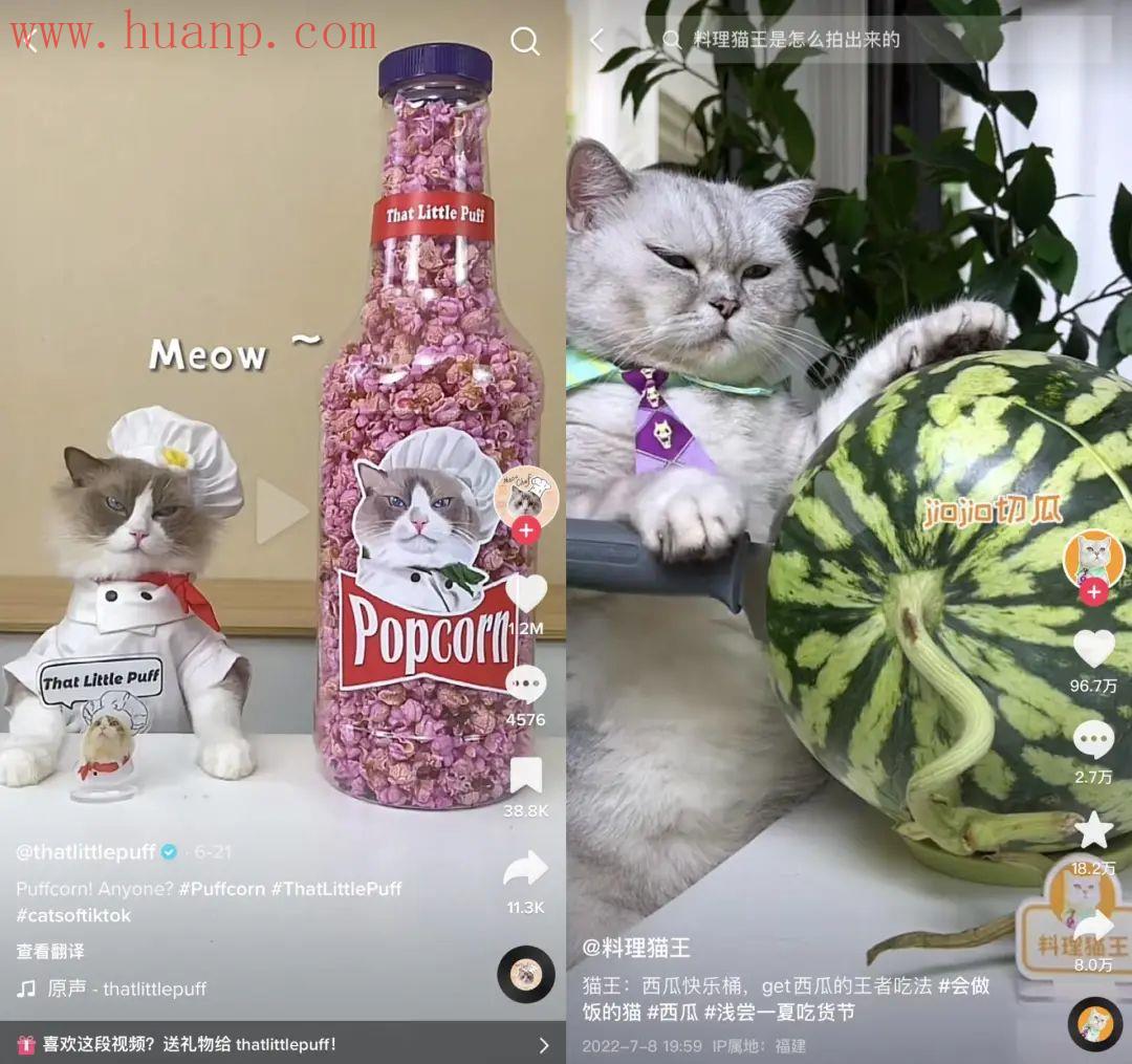 tiktok千粉号购买网站, tiktok最火的博主，盘点tiktok最受欢迎博主2023