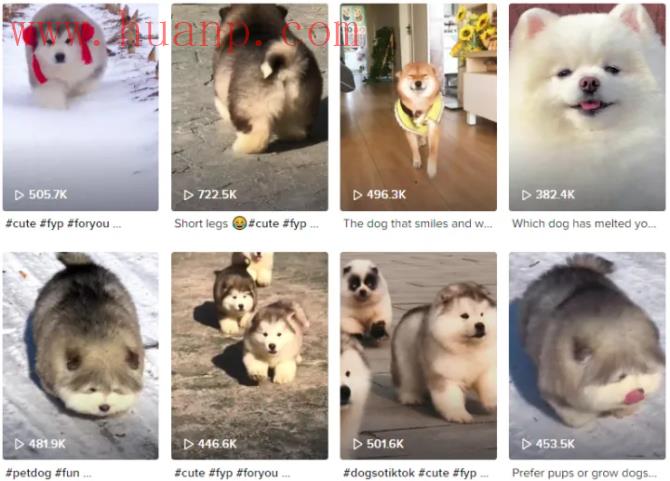 tiktok千粉号购买网站, 你以为在TikTok赚钱很容易吗？那你就大错特错了！