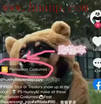 tiktok千粉号购买网站, tiktok购物车什么时候开，tiktok怎么开通购物车