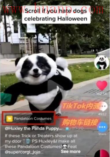 tiktok千粉号购买网站, TikTok如何变现？哪种变现方式适合自己？