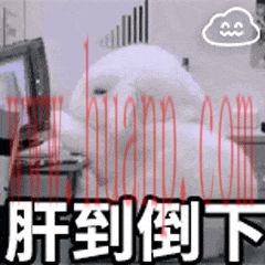 动图封面