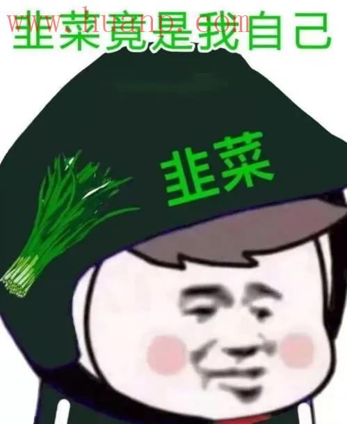 tiktok千粉号购买网站, 网上那些培训tiktok的可靠么？在TikTok亏的血本无归