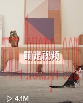 tiktok千粉号购买网站, 做tiktok不知道发什么内容？TikTok素材灵感分享