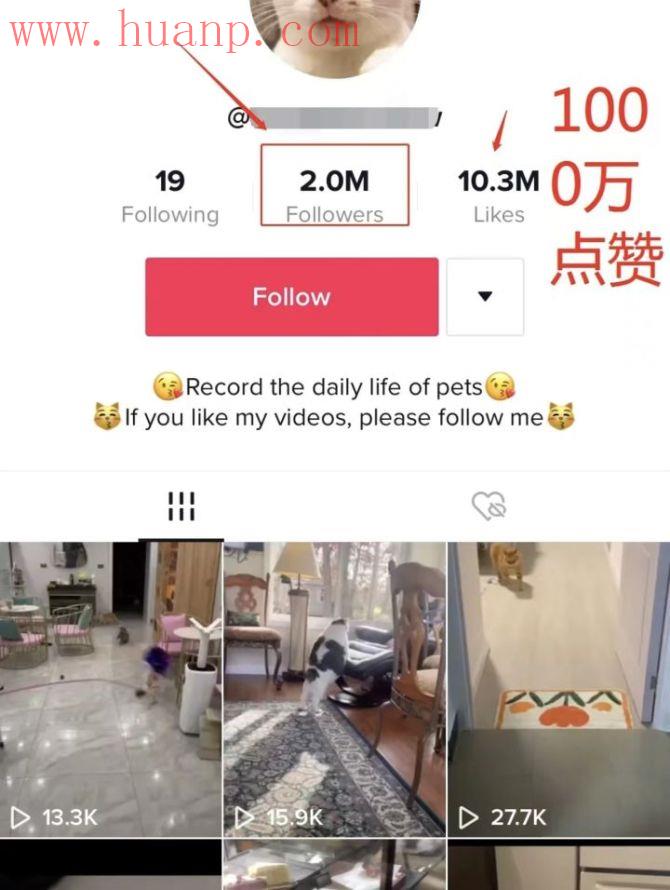 tiktok千粉号购买网站, 下载tiktok很简单！tiktok入门变现实操经验无偿分享