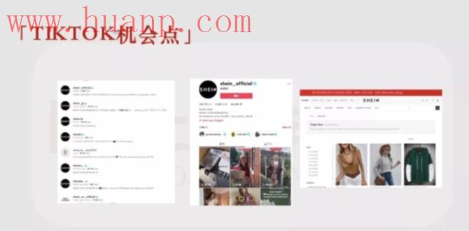 tiktok千粉号购买网站, TIKTOK分享:现状、玩法、机会点