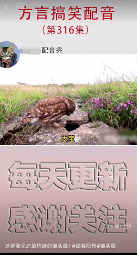 tiktok千粉号购买网站, 小白轻松通过中视频计划，动物方言搞笑配音项目拆解