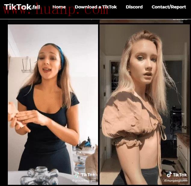 分享一个国内可访问的TikTok开源镜像网站，快速无广告还能下载视频！_java_03