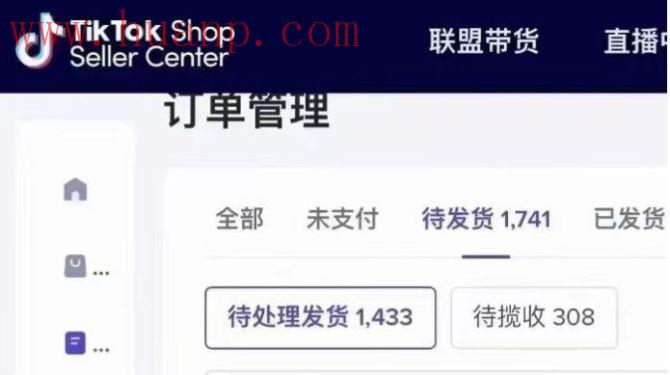 tiktok千粉号购买网站, tiktok小店是风口吗？开店一年能赚多少钱？